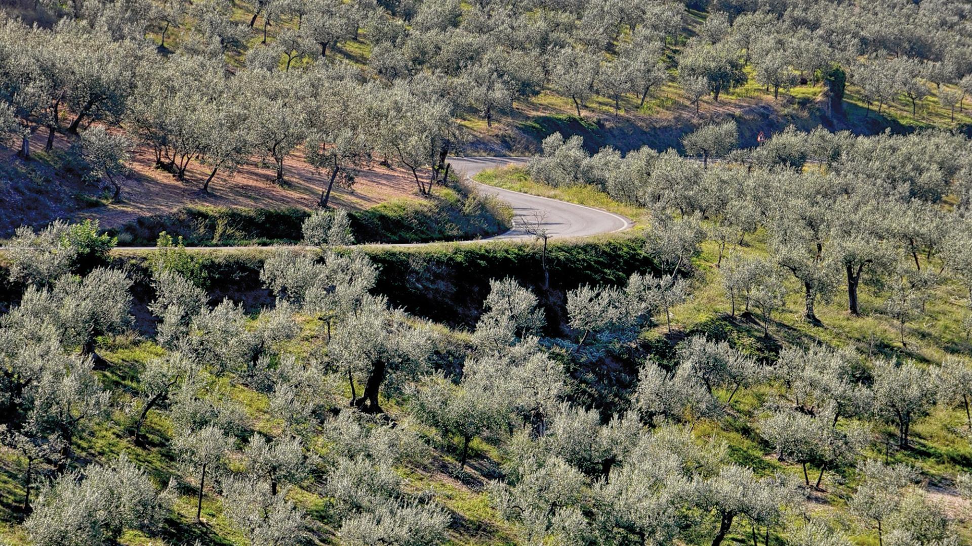  Offerte Autunno/Inverno 